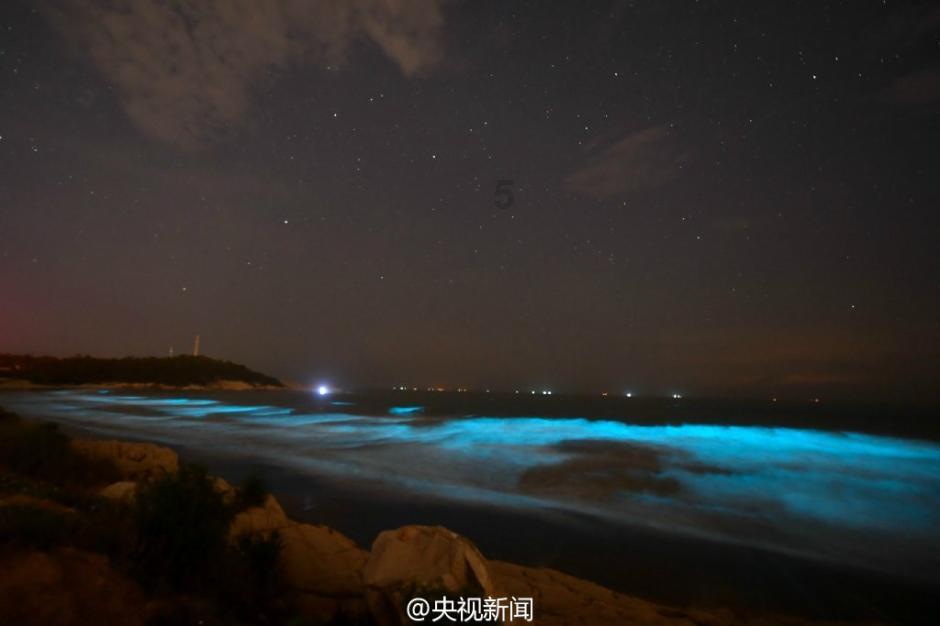 王傲世的梦